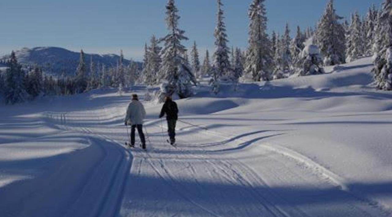 Hytte Naer Vannet, Jacuzzi Og Sauna Vradal Exteriér fotografie