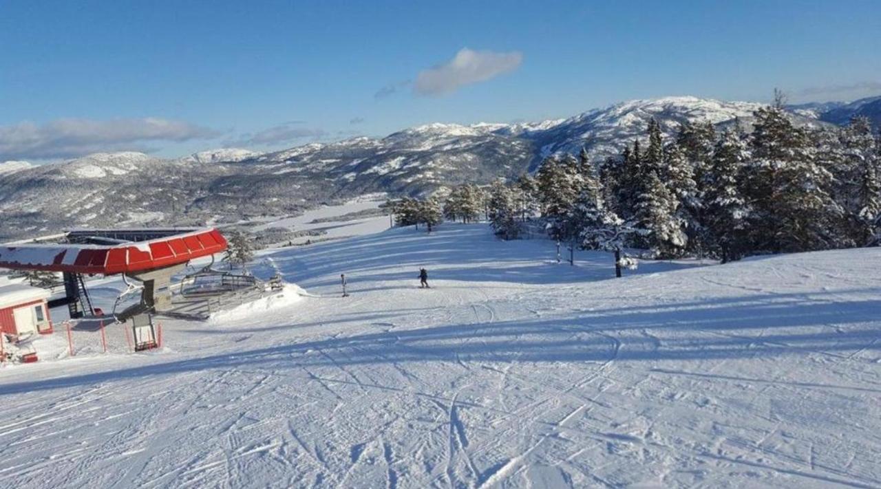 Hytte Naer Vannet, Jacuzzi Og Sauna Vradal Exteriér fotografie